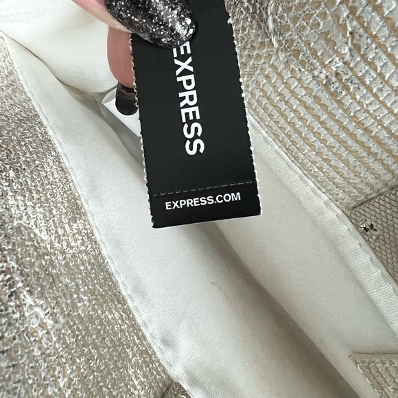 NWT Sparkly‎ Clutch from Express - Picture 3 of 7